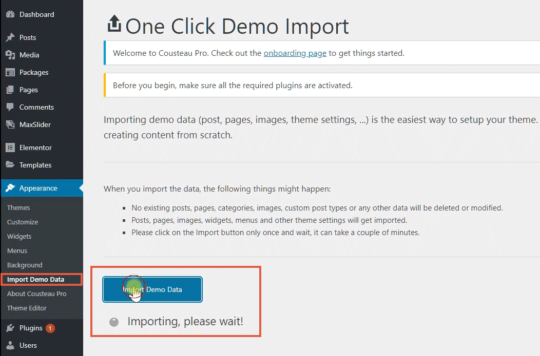 CSSIgniter one-click demo import