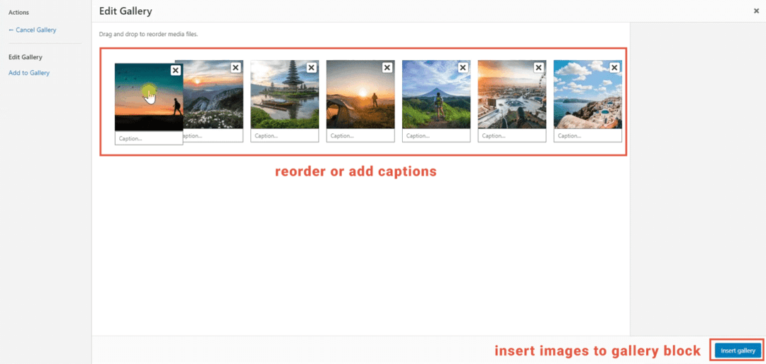 add captions, reorder, and insert images to gallery block