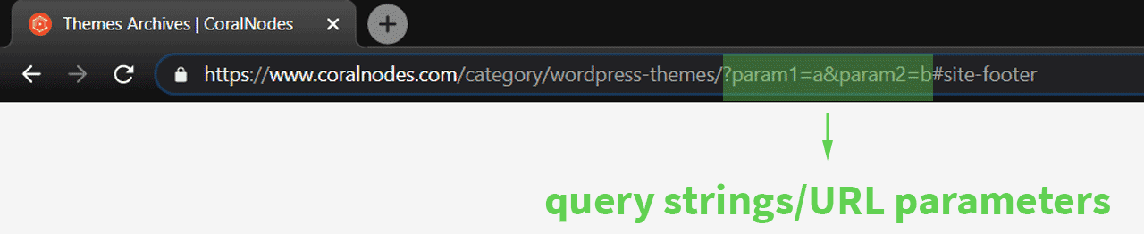 URL parameters/query strings