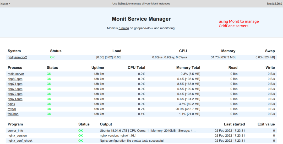 Monit server manager